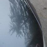 DSC01151