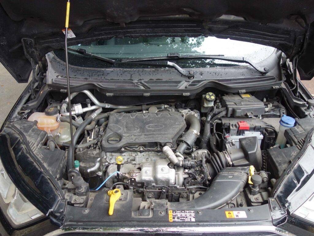 FORD Ecosport